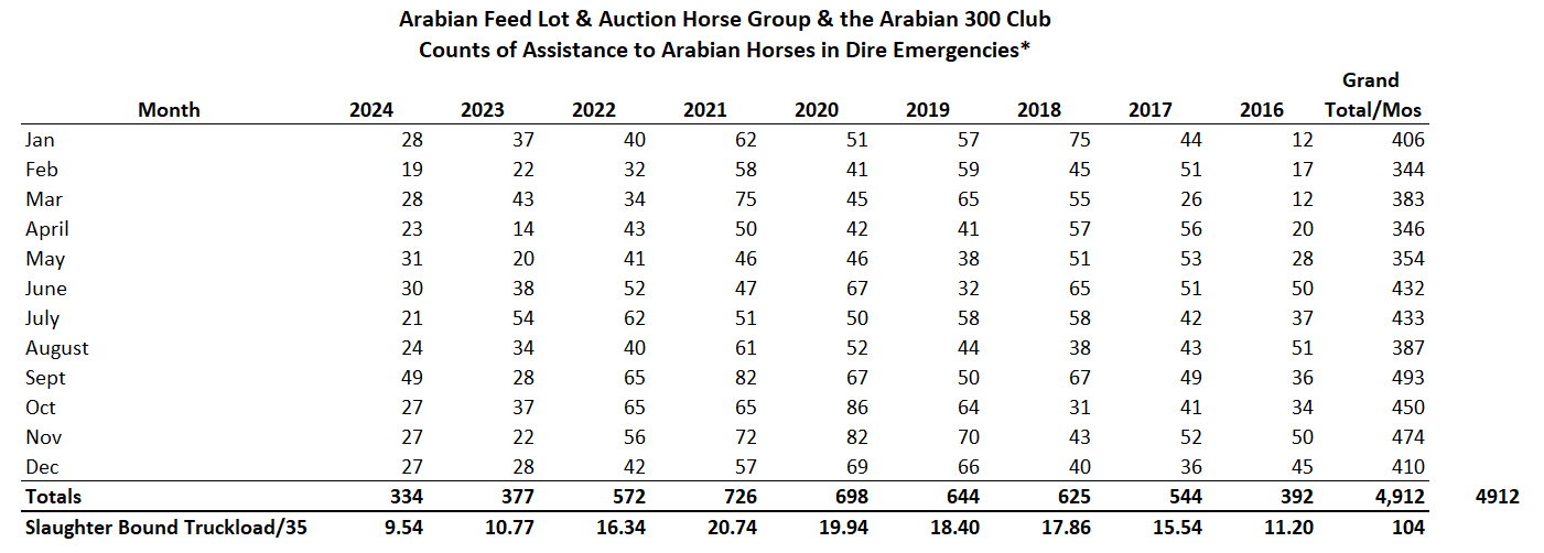 2024 Year End Horses Helped Summary