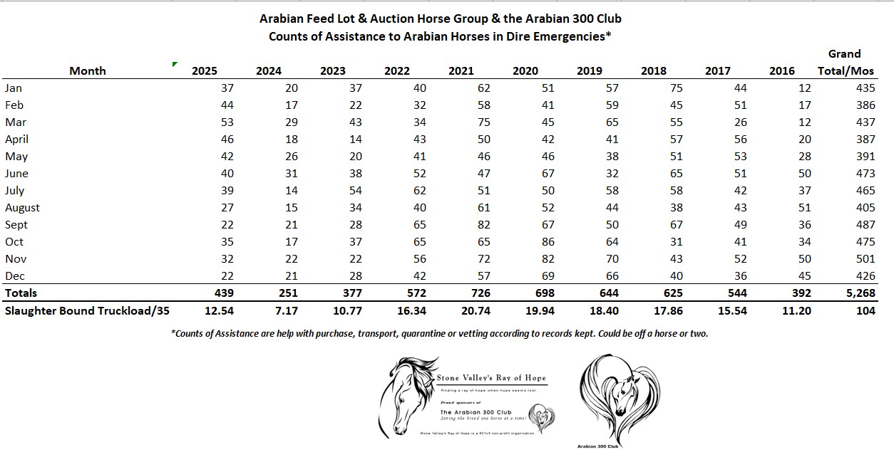 2025 Horses Helped Summary